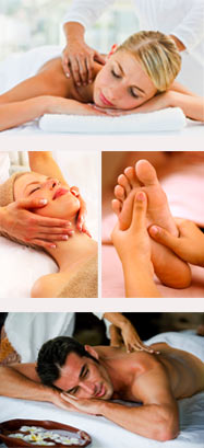 Our Services include